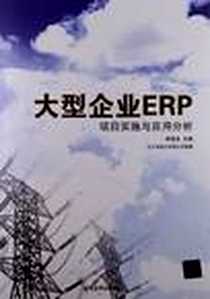 《大型企业ERP项目实施与应用分析》电子版-2013-1_辽宁省电力有限公司、 燕福龙 清华大学出版社  (2013-01出版)_燕福龙，辽宁省电力省有限公司
