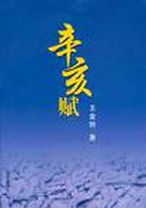 《辛亥赋》电子版-2011-5_新华出版社_王金铃