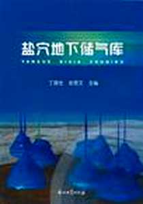《盐穴地下储气库》电子版-2010-4_丁国生、 张昱文 石油工业出版社  (2010-04出版)_丁国生，张昱文 著