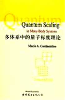 《多体系统中的量子标度理论》电子版-2004-4_北京世图_MucioA.Continention