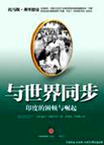 《与世界同步》电子版-2011-1_中信出版社_南丹·尼勒卡尼