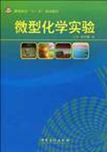 《微型化学实验》PDF_2009-10_中国石化出版社_万平，周贤爵