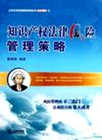 《知识产权法律风险管理策略》2011-6_法律_陈晓峰
