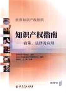 《世界知识产权组织知识产权指南》2012-10_世界知识产权组织、郑胜利、 王晔 知识产权出版社  (2012-10出版)_北京大学国际知识产权研究中心 译 
				    世界知识