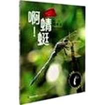 《啊！蜻蜓》电子版-2012-9_福建少年儿童出版社_邱承宗