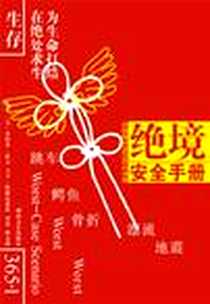 《绝境安全手册》电子版-2007年6月_湖南文艺出版社_乔舒亚·皮文,大卫·伯根尼希特