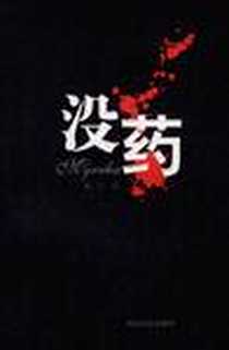 《没药》PDF_2010-11_湖南人民出版社_戴云