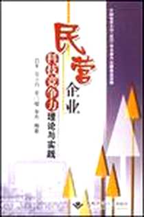 《民营企业科技竟争力理论与实践》电子版-地质大学_本社