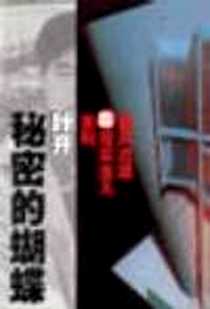 《秘密的蝴蝶》电子版-2001-09_花山文艺出版社_叶开