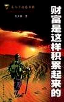 《财富是这样积累起来的》电子版-2002-6_广东经济出版社_陈大鹏