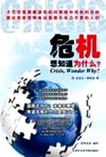 《危机》电子版-2011-11_天津社会科学院出版社_迈克尔·莱特曼